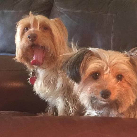 Meet your Posher, Jim - Picture 1 of 1